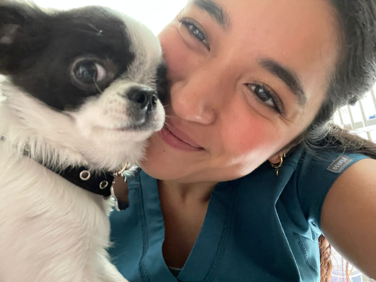 Mascota feliz